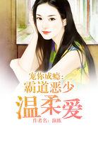 宠你成瘾:霸道恶少温柔爱