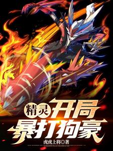 宝可梦:从火系天王开始