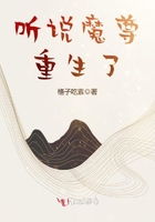 听说魔尊重生了