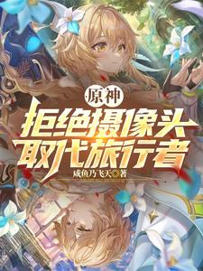 原神：取代黄毛摄像头