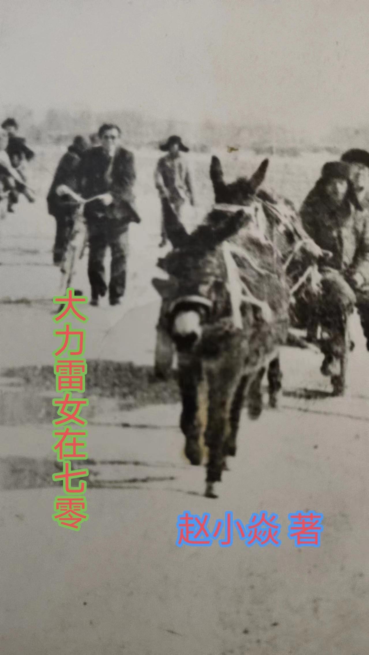 七零年代的佛系女战士